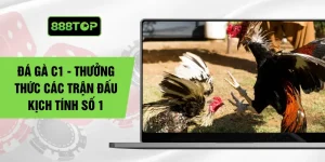 Đá Gà C1 - Thưởng Thức Các Trận Đấu Kịch Tính Số 1