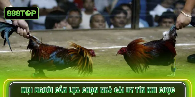 Mọi người cần lựa chọn nhà cái uy tín khi cược